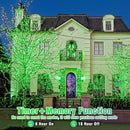 300 LED Green Lights Outdoor, 99ft Green String Lights for St Patricks Day Decor, Clear Wire 8 Modes Waterproof Plug in Green Christmas Lights with Timer Memory for Room Tree Party Decorations by GreenHaven Gardens