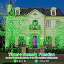 200 LED Green String Lights, 66ft Green Lights Outdoor for St Patricks Day Decorations Clear Wire 8 Modes Waterproof Plug in Twinkle Fairy Light for Indoor Christmas Tree Room Party Decor by GreenHaven Gardens