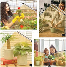 Grow Lights for Indoor Plants, Full Spectrum LED Plant Lamps with Clips and 3m Cables for Seeding Growing(2 Pack) by GreenHaven Gardens
