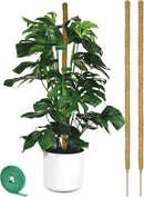 2 Pack Moss pole - 46 Inch Moss Pole Indoor - Monstera Plant Support - Plant Stakes for Indoor Plants - Plant Stiks support Tall - Moss Pole for Climbing Plants support - Monstera Pot - Moss Poles by GreenHaven Gardens