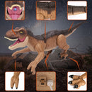 Remote Control Dinosaur Toys for Boys 3 4-7 8-12- RC Realistic Big T-Rex Gifts for Kids, Interactive Dino with Light Roar Spray Touch Sensing by TinyTreasures Baby Boutique