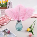 THARAHT Pink Ostrich Feathers 24pcs Natural Bulk 10-12Inch 25cm-30cm for Crafts Wedding Party Centerpieces Easter Gatsbi and Home Decoration Feathers by CozyNest Decor