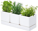 D'vine Dev Herb Garden Planter Set, Plastic Plant Pots with Drainage and Saucer, Indoor Succulent Cactus Vegetable Pot for Windowsill, Garden Balcony, White, Set of 1, 76-V-A-1 by GreenHaven Gardens