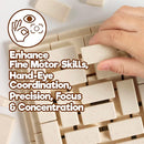 Taksa Toys Ancient Pyramid Egypt Stem Toys Educational Stackable Building Blocks Bricks for Kids Ages 7 8 9 10+ Years Old, Creative Architectural Learning Games, Montessori Toys for Children, 122 Pcs by TinyTreasures Baby Boutique