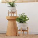 LA JOLIE MUSE Ceramic Plant Pot with Wood Stand - 7.3 Inch Modern Round Decorative Flower Pot Indoor with Wood Planter Holder, Beige and White by GreenHaven Gardens