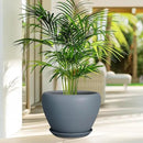 10 Inch Plant Pot - Ceramic Planter for Indoor Plants Large Plant Pot with Drainage Hole and Saucer Round Outdoor Planter Modern Flower Pot for Home Decor Gray by GreenHaven Gardens