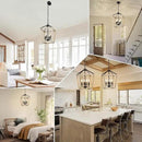 4 Light Chandelier Fixture, Farmhouse Light Fixtures Geometric Metal Cage Modern Ceiling Light with Adjustable Height, E12 Base Hanging Lights for Kitchen Island, Dining Room, Living Room, Indoor by CozyNest Decor