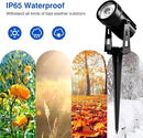 2W Solar Spotlights,T-SUNRISE IP65 Waterproof Outdoor Solar Lights Landscape Lighting Wall Light Auto On/ Off with 2 Warm White Dual Spot Headlamp for Tree,Patio, Yard, Garden by GreenHaven Gardens