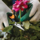 Fiskars Comfort Loop Micro-Tip Pruning Snips - 7" Garden Shears with Sheath and Extra Large SoftGrip Handle - Yard and Garden Tools - Orange/Black by GreenHaven Gardens