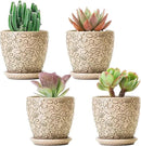 4 Inch Mini Plant Pots, Ceramic Succulent Planter with Drainage Hole and Saucers for Indoor Plants, Small Garden Pots for Succulent, Herb and Flower, Set of 4 by CozyNest Decor