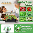 50pcs Hydroponic Grow Sponges for Aerogarden - Seed Sprout Pods Kit with Plant Food, Compatible with Most Indoor Hydroponics Plants Growing System by GreenHaven Gardens