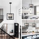 ANKYLHUA Small Black Chandelier,6-Lights Ceiling Light Fixture E12,Adjustable Hight Pendant Lights Kitchen Island,Chandeliers for Dining Room Bedroom,Entryway,Foyer by CozyNest Decor