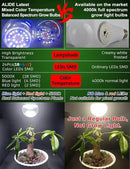 Grow Light Bulbs E12 Candelabra Small Screw Base for Indoor Plants Full Spectrum,Grow LED Light Bulb 10W with Balanced Spectrum 5000K Blue Red for Seeds Greens Laboratory,School,Greenhouse Garden,6Pcs by GreenHaven Gardens