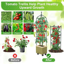 Raised Garden Bed Planter Box with Trellis, 71" Self-Watering Tomato Planter with Wheels for Climbing Vegetable and Plants, Tomato Cage Planters for Indoor Outdoor Patio Greenhouse Gardening (1Pack) by GreenHaven Gardens