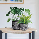 6 Inch Boho Planter Pots with Drainage Holes, 2 Pcs Terracotta Pots, Ceramic Plant Pots for Indoor Plants, Ferns, Vines, Succulents, and Outdoor Plants Growing, Gift for Plant Lovers（Black） by GreenHaven Gardens