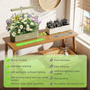 SUNCOZE Hydroponics Growing System Kit 12 Pods, 24W LED Grow Light Indoor Garden, 4L Water Tank with Quiet Pump, Adjustable Height Herb Garden Planter Indoor Kit, Gardening Gifts, Green by GreenHaven Gardens