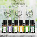 Earnest Living Essential Oil Diffuser Gift Set White Ceramic Diffuser 100 ml & Essential Oil Set Timers Night Lights Auto Off Function Home Office Humidifier Aromatherapy Diffusers for Essential Oils by TinyTreasures Baby Boutique