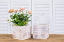 Wooden Planter Box, Rustic Whitewash with Plastic Liner l Garden Decor l Restaurant and Wedding Decorations l Wedding Bouquets, Table Centerpiece (5x5 Set of 4, Whitewash) by GreenHaven Gardens