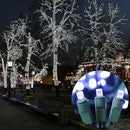 150 LED White String Lights - LED Christmas Decoration, Mini led Lights for Indoor Outdoor Home Holiday Party Wedding Independence Day Decoration by CozyNest Decor