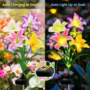 Solar Garden Lights 2 Pack 8 Lily Flowers with Butterfly Decor, Waterproof Solar Flower Lights for Outdoor - Upgraded Decorative Lilies for Yard, Patio, Pathway Decorations & Gardening Gifts by GreenHaven Gardens