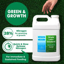 Maximum Green & Growth Fertilizer High Nitrogen 28-0-0 Lawn Food Liquid Fertilizer- Spring & Summer- Any Grass Type- Simple Lawn Solutions - Concentrated Quick & Slow Release Formula (2.5 Gallon) by GreenHaven Gardens