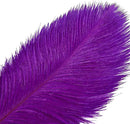 THARAHT Purple Ostrich Feathers 12pcs Large Natural Bulk 12-14Inch 30cm-35cm for Wedding Party Centerpieces Halloween and Decoration Feather by CozyNest Decor