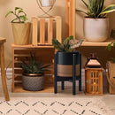 D'vine Dev Ceramic Planter with Ebony Stand - 8 Inch Modern Round Flower Pot with Wood Planter Holder, Black/Speckled Tan, 55-B-M-7 by CozyNest Decor