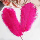THARAHT Hot Pink Ostrich Feathers 12pcs Large Natural Bulk 16-18Inch 40cm-45cm for Wedding Party Centerpieces Easter Gatsbi and Home Decoration Feathers by CozyNest Decor