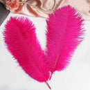 THARAHT Hot Pink Ostrich Feathers 12pcs Large Natural Bulk 20-22Inch 50cm-55cm for Wedding Party Centerpieces Easter Gatsbi and Home Decoration Feathers by CozyNest Decor
