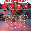 Hiboom Christmas Candy Cane Lights, 10 Pcs 21 Inch Pathway Markers Lights with Stakes, Christmas Driveway Lights End to End Connected for Xmas Holiday Party Walkway Patio Garden Decor (Red and White) by GreenHaven Gardens