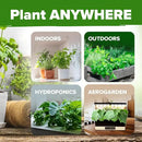 HOME GROWN 20 Herb Seeds for Planting 6,000+ Non-GMO Heirloom Seeds | Extra Large Variety Pack Herb Kit – Indoor Outdoor & Hydroponic | Culinary Seed Set | Grow Your Own Herbs | Gardening Gift by GreenHaven Gardens