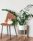 D'vine Dev Ceramic Planter with Natural Stand - 10 Inch Modern Round Flower Pot with Wood Planter Holder, White/Grey, 55-B-K-6 by GreenHaven Gardens