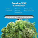 AeroGarden Harvest 2.0, Indoor Garden Hydroponic System with LED Grow Light, Holds up to 6 AeroGarden Pods, Cream by GreenHaven Gardens