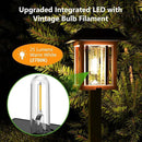 XMCOSY+ Solar Lights Outdoor Waterproof IP65, 25 LM Garden Light for Yard Pathway, Dual-Tone LED Lights with Seed Glass Metal, Solar Powered Landscape Walkway Pathway Decor Lighting (Warm White) by CozyNest Decor