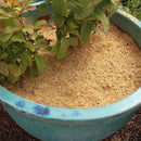 Rice Hulls for Potting Applications - Promote Root Development, Water Efficiency, and Disease Resistance - 5 QUARTS by GreenHaven Gardens