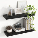 24 Inch Floating Shelves, 8 Inch Deep Floating Shelves for Wall, Hanging Shelf with Invisible Brackets, Deep Shelves for Bathroom, Bedroom, Living Room, Black, Set of 2 by CozyNest Decor