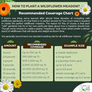 Mini Wildflower Seed Shaker – Honey Bee Wildflower Mix, by GevaGrow | Bulk 90,000+ Seeds | Pollinator Bee Attracting Flower Seeds for Planting in Pots & Outdoor Gardens | No Messy Packets by GreenHaven Gardens