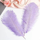 THARAHT Lavender Ostrich Feathers 12pcs Large Natural Bulk 12-14Inch 30cm-35cm for Wedding Party Centerpieces Easter Gatsbi and Decoration Feather by CozyNest Decor