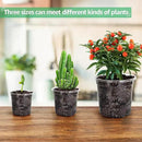 36 Packs 5/4/3.5 Inch Reinforced Clear Nursery Pots with Drainage Hole, Transparent Variety Pack Plastic Plant Pot Seedling Planter Seed Starter Flower by GreenHaven Gardens