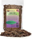 Money Tree Potting Soil, Soil Mix for Planting or Repotting Guiana Chestnut, Soil Blended to Properly Grow Money Tree Plants - (5 Quart Bag) by GreenHaven Gardens