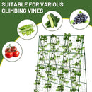 Large A-Frame Garden Trellis for Tomatoes, Cucumbers & Heavy Climbing Plants - Rust-Resistant, Heavy-Duty Steel, Perfect for Outdoor Gardens & Vertical Gardening(47" W x 63" H) by GreenHaven Gardens