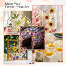 Extra Large Flower Press Kit 10.8 x10.8 inches with Storage Bag, DIY Arts and Craft Kit 10 -Layers, Ideal Gift for Flower & Plant Lovers by TinyTreasures Baby Boutique