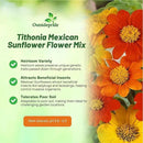 Outsidepride Mexican Sunflower Seeds Mix - 1000 Pcs Annual, Easy-to-Grow, Mixed Tithonia Speciosa Flower Seeds w/Drought-Tolerant Blooms for Pollinator Gardens & Vibrant Summer Landscaping by GreenHaven Gardens
