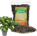 Premium Dumb Cane Potting Soil Mix - Ideal Blend for Growing Robust and Healthy Dumb Cane Plants - 1 Quart by GreenHaven Gardens