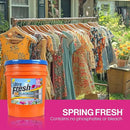 Ultra Fresh 5 Gallon Liquid Laundry Detergent Washing Soap with Spring Fresh Fabric Softener for All Machine Types, 6X Platinum, Up to 640 Loads by CozyNest Decor