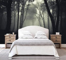 Foggy Black Forest Wallpaper Bedroom Dark Woodland Trees Wall Mural Living Room (Not Peel and Stick) by CozyNest Decor