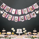 Pink One Silly Goose 1st Birthday Photo Banner Garland from Newborn to 12 Months Paper Photo Banner with Gradient Pink Ribbon for Monthly Milestones Baby Girl First Birthday Party Decorations Supplies by TinyTreasures Baby Boutique