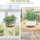 10 Inch Hanging Planter, 2 Pack Hanging Plant Self Watering Pot with Drainage Holes & Saucers, Hanging Baskets Flower Pots with Black Macrame Rope Hangers for Garden Home -White by GreenHaven Gardens