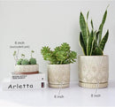 8 Inch Indoor Plant Pot with Drainage Holes and Saucers, Ceramic Planter for Plants, Succulent Orchid Flower Pots by CozyNest Decor