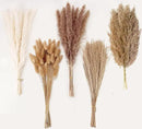 Natural Dried Pampas Grass Decor, 110 PCS Pampas Grass Contains White Bunny Tails Dried Flowers, Artificial Flowers for Bathroom Decor, Bathroom Wall Decor, Office Decor and Baby Shower Decorations by CozyNest Decor